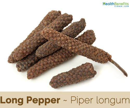 Piper Longum Dry Extract