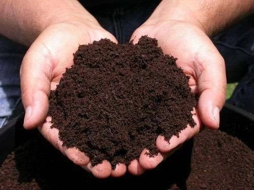Bio Vermicompost, for Agriculture, Packaging Size : 25kg, 50kg