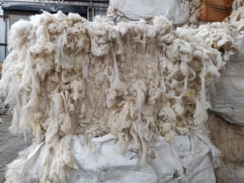 Raw Wool, Color : White, Creamy