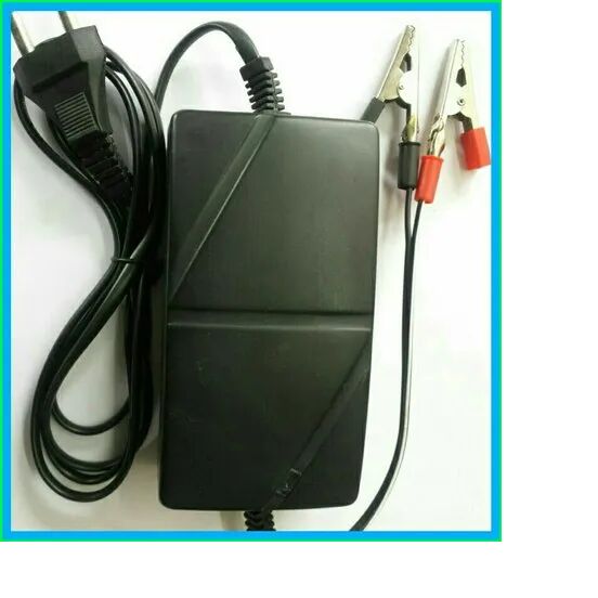 Maintenance Free Motorcycle Battery Charger