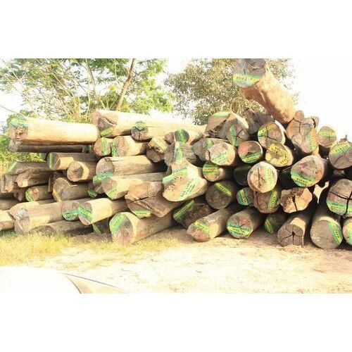 Pincoda Wood Log