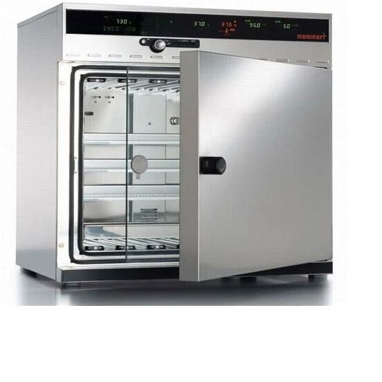 Stainless Steel Chamber Oven