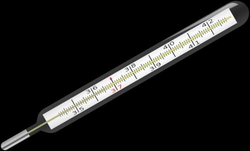Glass Traditional Thermometer, for Medical Use