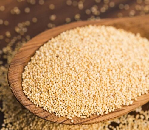 Organic Poppy Seeds, Packaging Size : 25-50kg