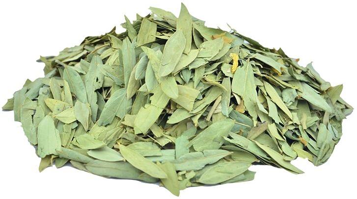 Natural Dried Senna Leaves, Packaging Type : BALE PACK