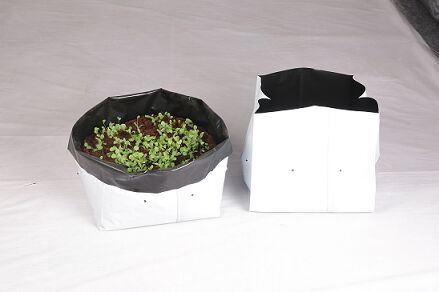 SARAS Grow Bags, Color : BLACK WHITE