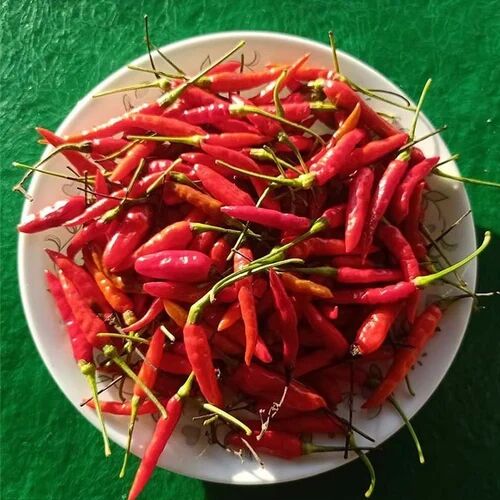 Bird Eye Chilli, Color : Red