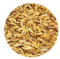 Brown long grain rice
