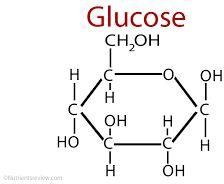 Glucose