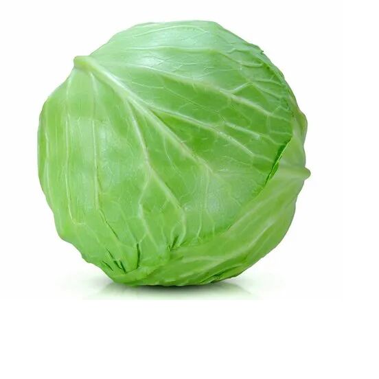 Green Fresh Cabbage, Packaging Type : Loose