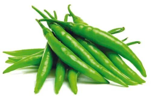 Green chilli, for Cooking, Packaging Size : Loose