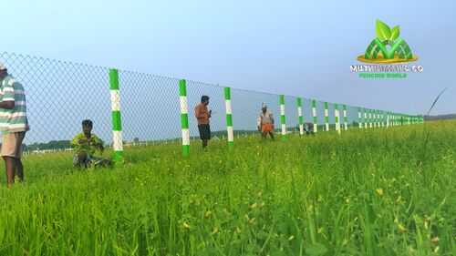 Iron Chain Link Fence