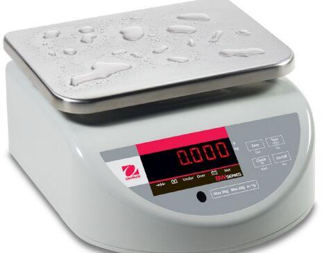 Washdown Compact Bench Scale
