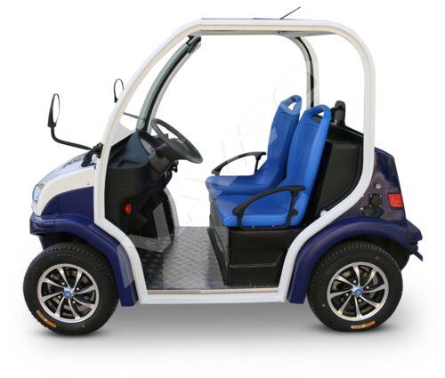 2 Seater Electric Vehicles