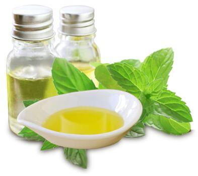 Menthol Oil