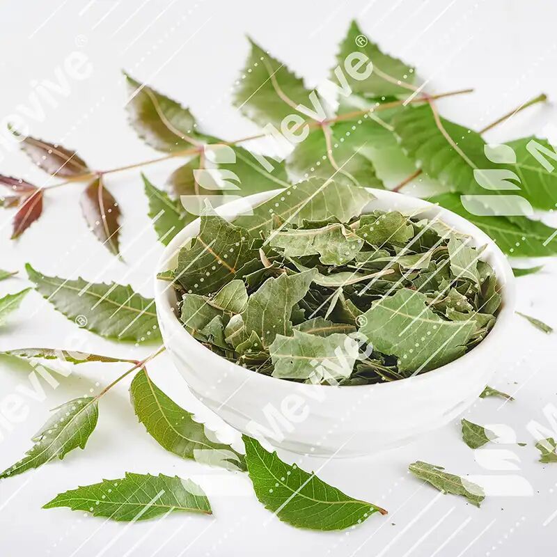 Natural Dried Neem Leaves, Certification : FSSAI, HALAL, ISO 22000:2018, KOSHER, Spice Board of India