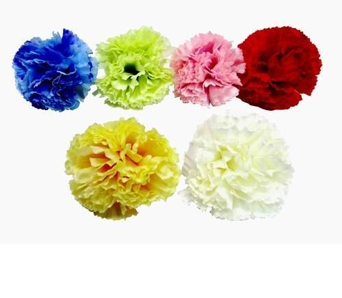 Carnation Loose Flower, Color : Blue, Red, Yellow etc
