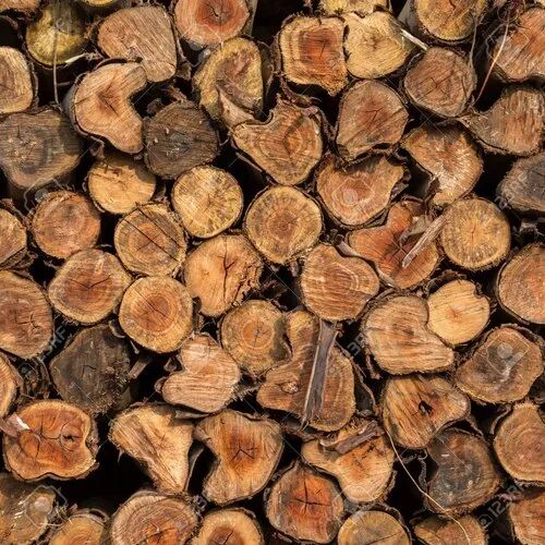Brown Wood Log, for Furniture