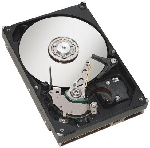 IBM Hard Disk, for Internal