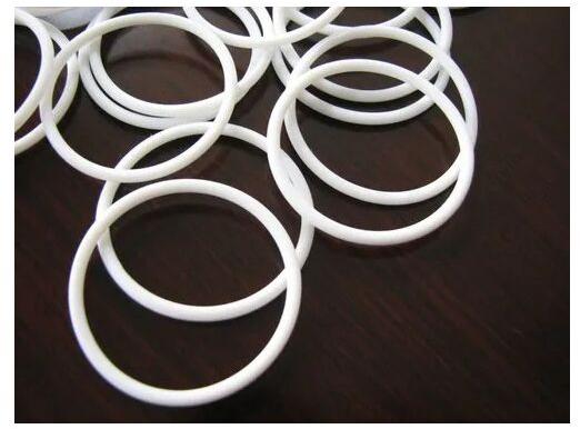 PTFE O Ring