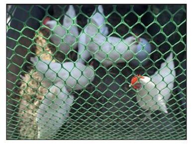 Plastic poultry nets, Color : Black Green