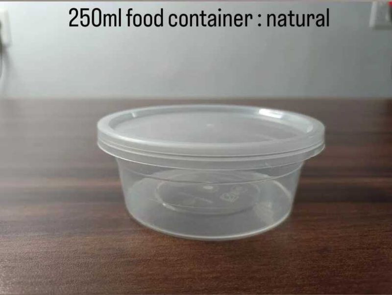 250 ml Transparent Reusable Plastic Food Container