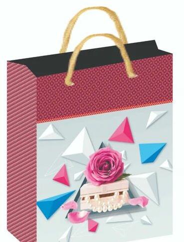 Printed   Printed Paper Shopping Bag, Color : Multicoloure