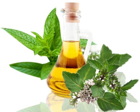 Leaves mint mentha essential oil, Certification : FDA, GMP, MSDS, COA, ISO