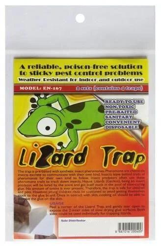 Lizard Glue Trap