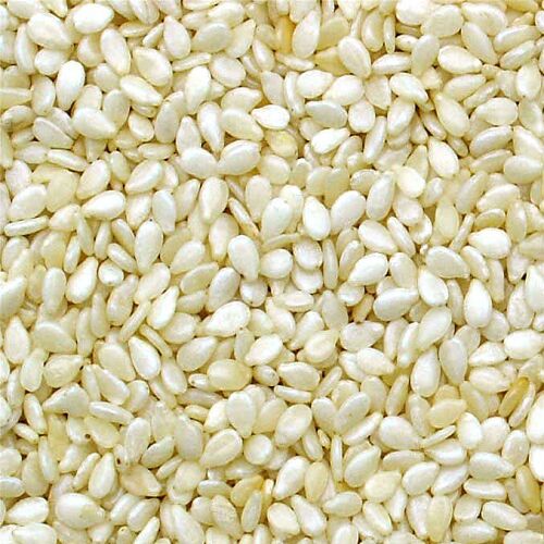 Natural White Sesame Seeds, for Agricultural, Making Oil, Style : Dried