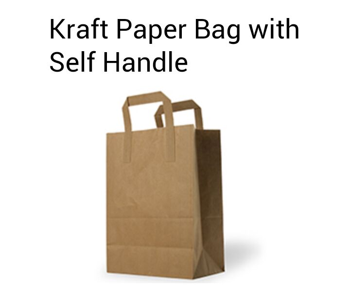 Paper Bag with Self Handles