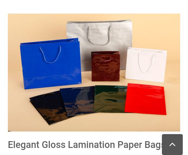 trendy elegant gloss laminated paper bags