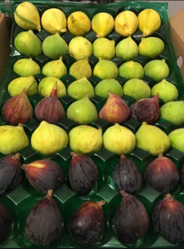 Pure and Natural Sun Dried Organic Dried Figs , Fresh Figs For Sale