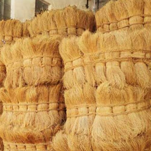 Bristle Coir Fibre