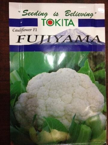 Cauliflower Seeds, for Farming, Packaging Type : Packet