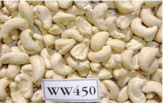 WW450 Cashew Nuts