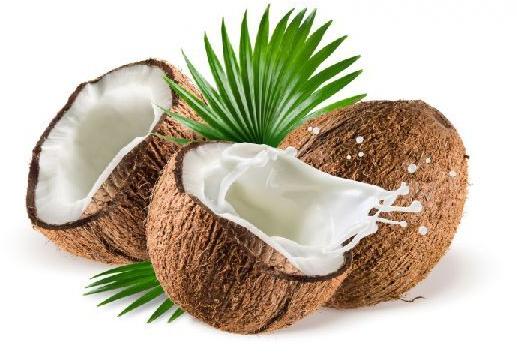 Natural Fresh Coconut, for Pooja, Form : Solid
