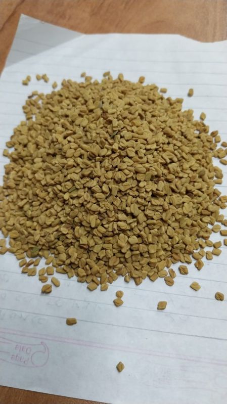 Yellow Common fenugreek, for Cooking, Certification : FSSAI Certified