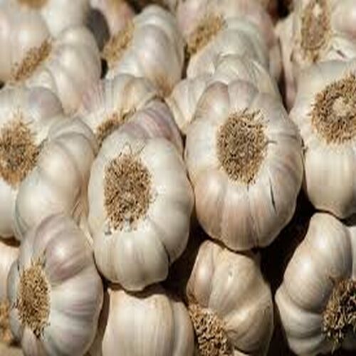 Garlic Bulb, for Cooking, Fast Food, Snacks, Color : Creamy, White