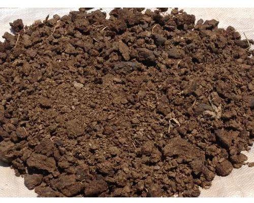 Cow Dung Powder, Purity : 100%