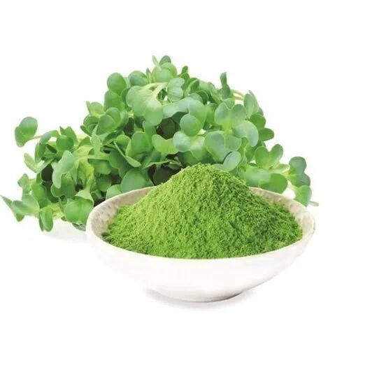 Alfalfa Leaf Powder, Purity : 18.00%
