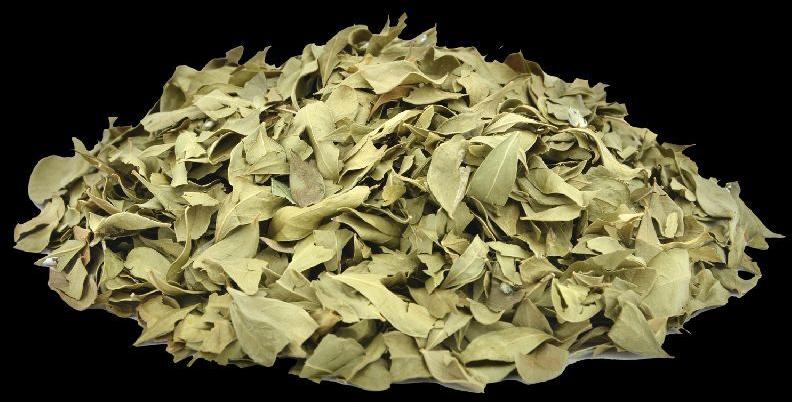 Dried Henna Leaves
