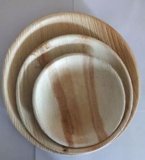 Areca leaf plate, Feature : Disposable, Ecofriendly, Biodegradable