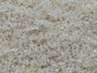 Organic Broken Basmati Rice, Packaging Type : Gunny Bags, Jute Bags, Plastic Bags
