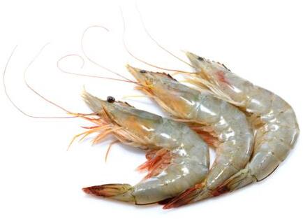 Raw Vannamei Prawns, Style : Fresh