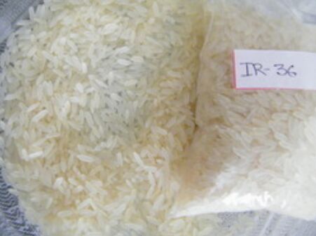 IR-36 Parmal Non Basmati Rice