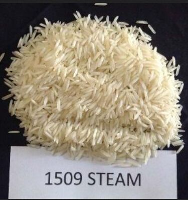 1509 Steam Non Basmati Rice, for Gluten Free, High In Protein, Packaging Size : 10kg, 1kg, 20kg, 25kg