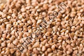 Organic Buckwheat Seeds, Packaging Size : 50-100kg