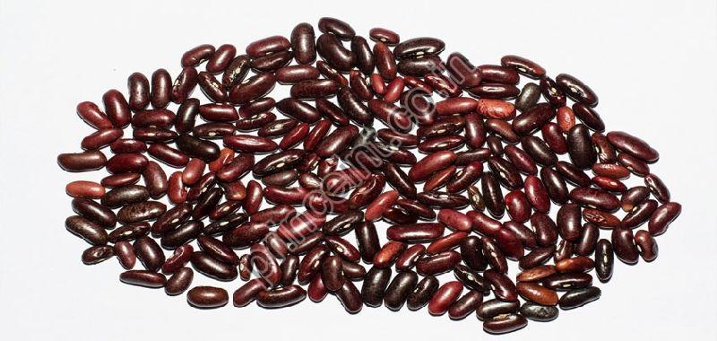 Organic Kidney Beans, Shelf Life : 1Year