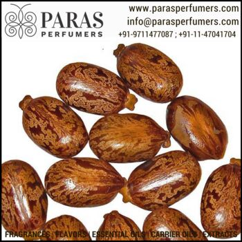 Paras Perfumers Castor Oil, Certification : FDA, GMP, MSDS, ISO, HALAL, USDA Organic